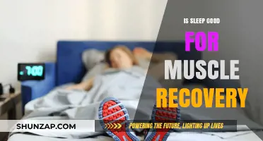 Recharge and Rebuild: The Power of Sleep in Muscle Recovery