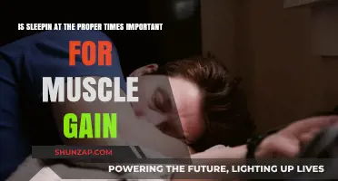 Proper Sleep Timing: Key to Maximizing Muscle Gain and Recovery