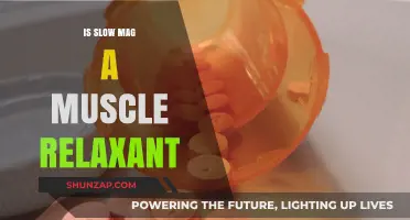 Is Slow Mag a Muscle Relaxant? Exploring Its Uses and Benefits