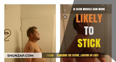 Slow Muscle Gain: The Sustainable Approach to Long-Lasting Results