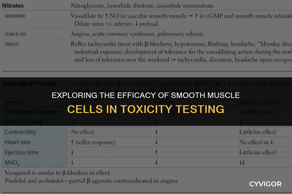 is smooth muscle cell good for testing toxicity