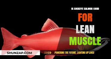 Sockeye Salmon: A Lean Muscle Superfood?