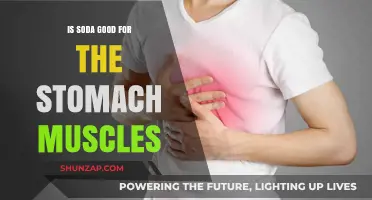 The Surprising Truth About Soda and Your Stomach Muscles