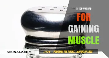 Is Sodium Bad for Muscle Gain? Debunking Myths and Facts