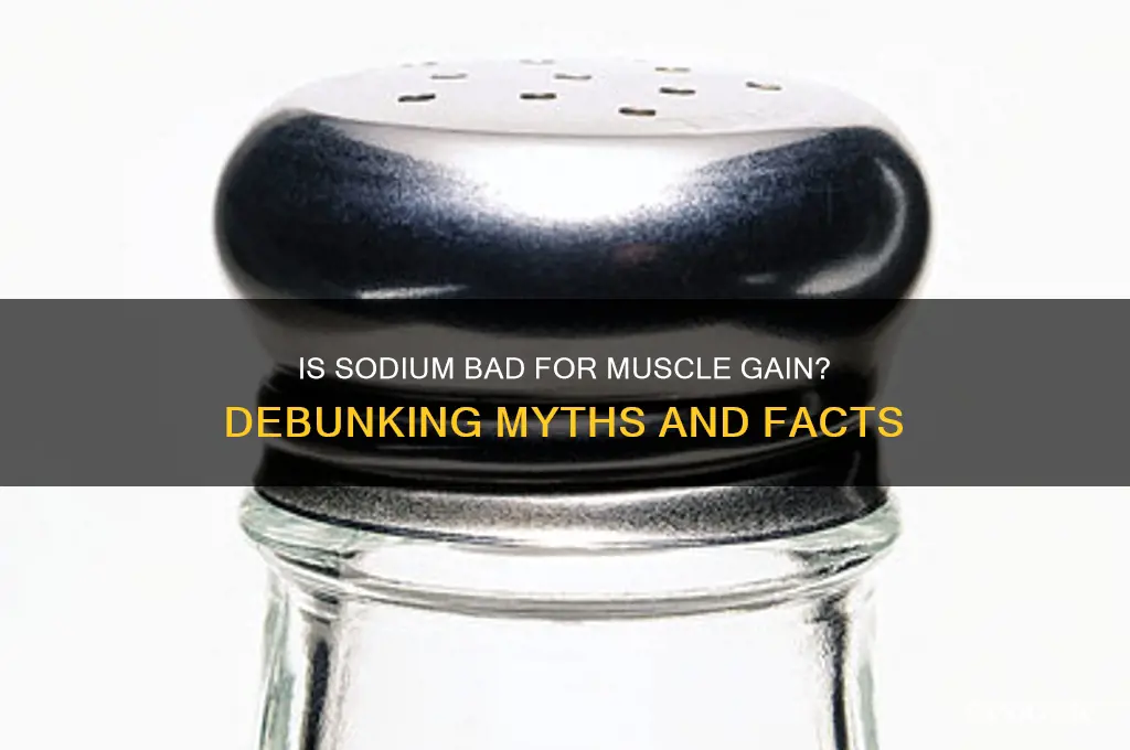 is sodium bad for gaining muscle