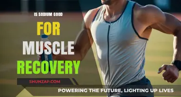Sodium's Role in Muscle Recovery: Beneficial or Harmful?
