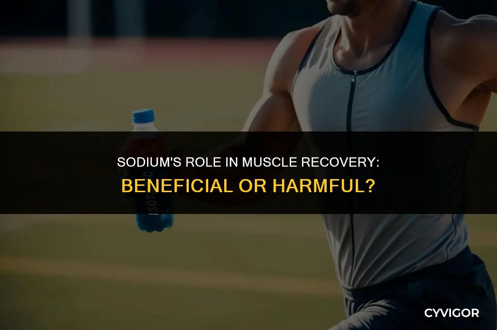 is sodium good for muscle recovery