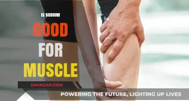 Exploring Sodium's Role in Muscle Function: A Balanced Perspective