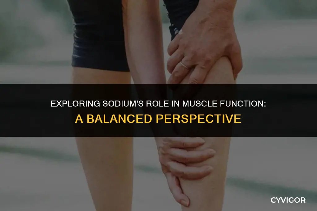 is sodium good for muscle