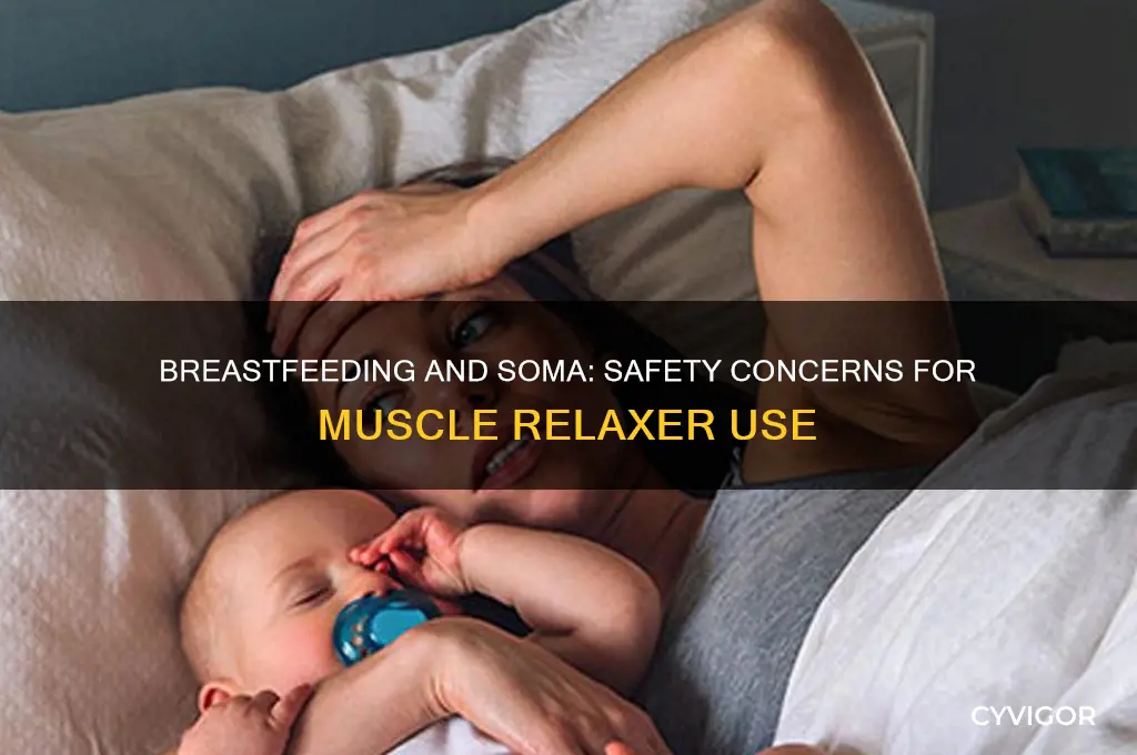 is soma muscle relaxer safe to take while breastfeeding