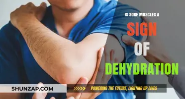 Sore Muscles and Dehydration: Unraveling the Connection for Optimal Recovery