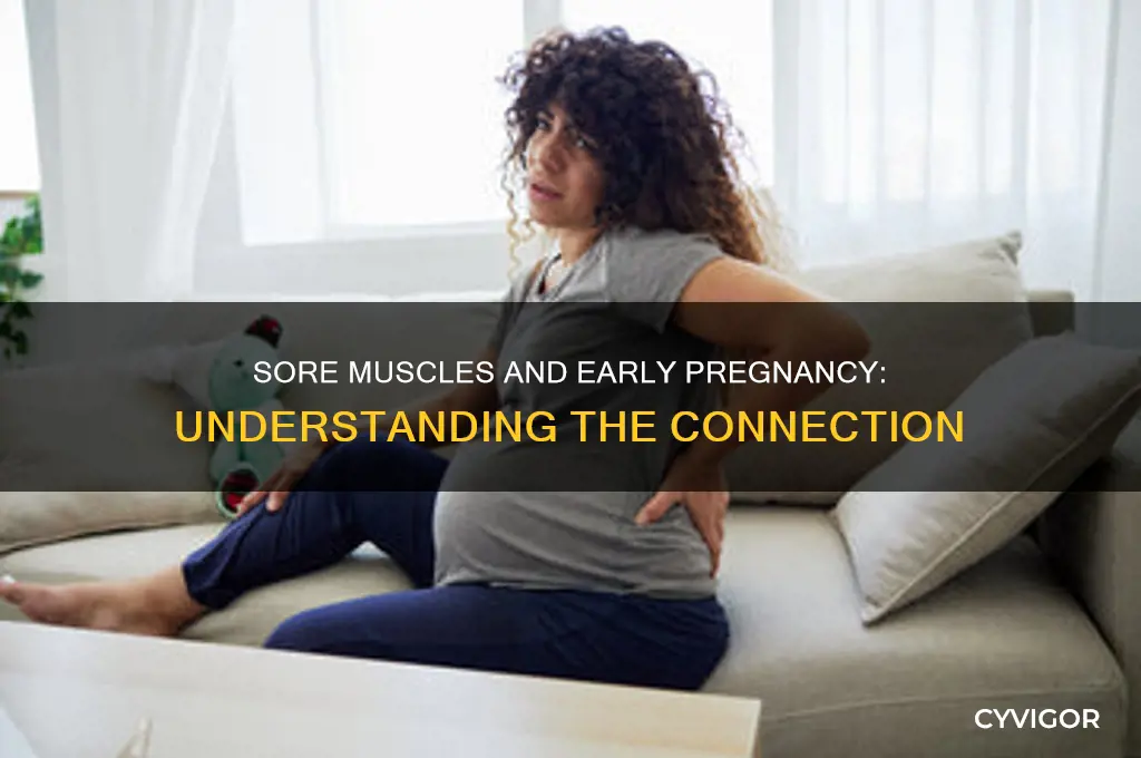 is sore muscles a sign of early pregnancy