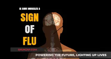 Sore Muscles and the Flu: Understanding the Connection and Symptoms