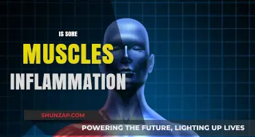 Are Sore Muscles Inflammation? Understanding Post-Workout Pain and Recovery
