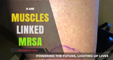 Sore Muscles and MRSA: Unraveling the Potential Connection