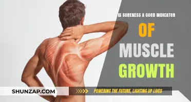 Is Soreness a Reliable Indicator of Muscle Growth?