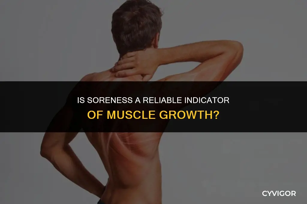 is soreness a good indicator of muscle growth