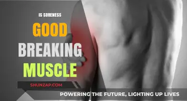 Is Muscle Soreness a Good Sign of Breaking Muscle?