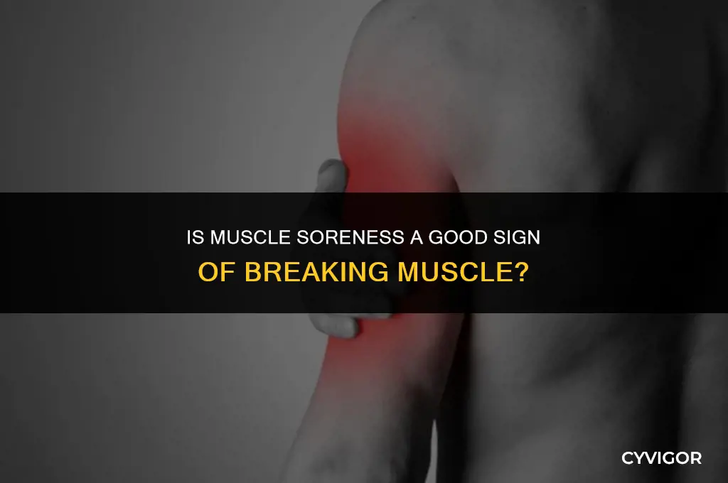 is soreness good breaking muscle