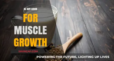 Unlocking Muscle Growth: The Surprising Truth About Soy