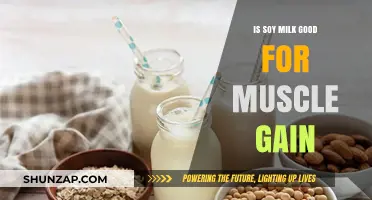 Soy Milk and Muscle Gain: Unlocking Plant-Based Protein Power