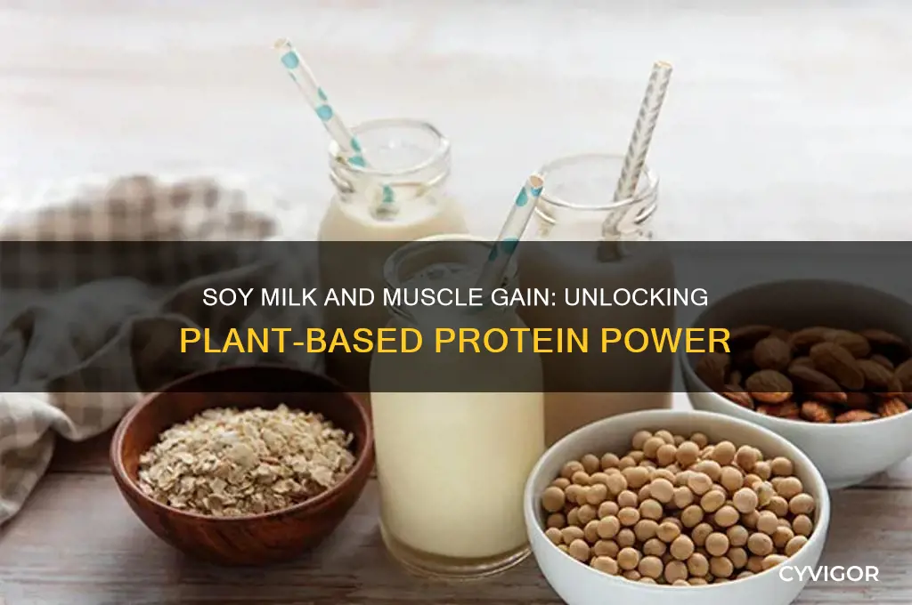 is soy milk good for muscle gain