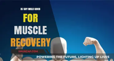 Soy Milk: A Plant-Based Powerhouse for Muscle Recovery?