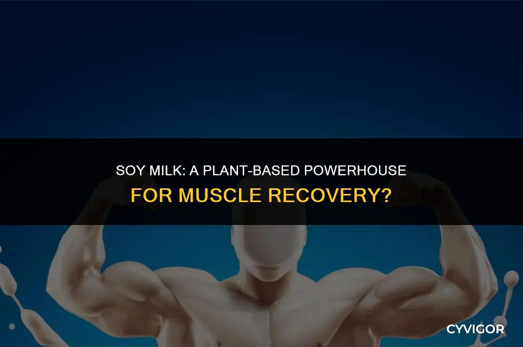 is soy milk good for muscle recovery