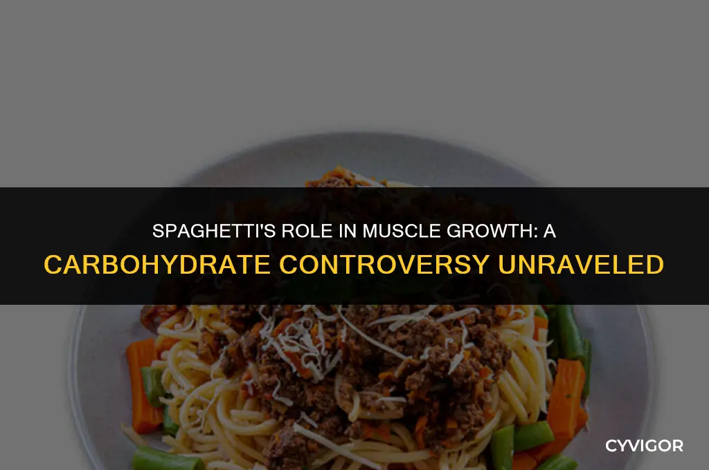 is spaghetti good for muscle growth