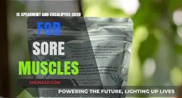 Spearmint and Eucalyptus: Natural Remedies for Sore Muscles?