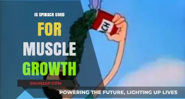 Spinach and Muscle Growth: Unlocking the Green Power for Strength