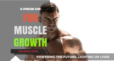 Unlocking Muscle Growth Potential: The Spirulina Advantage