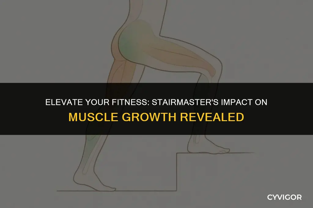 is stairmaster good for muscle growth