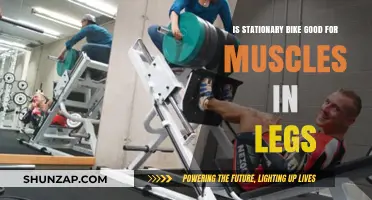 Pedal Power: How Stationary Bikes Strengthen Your Leg Muscles