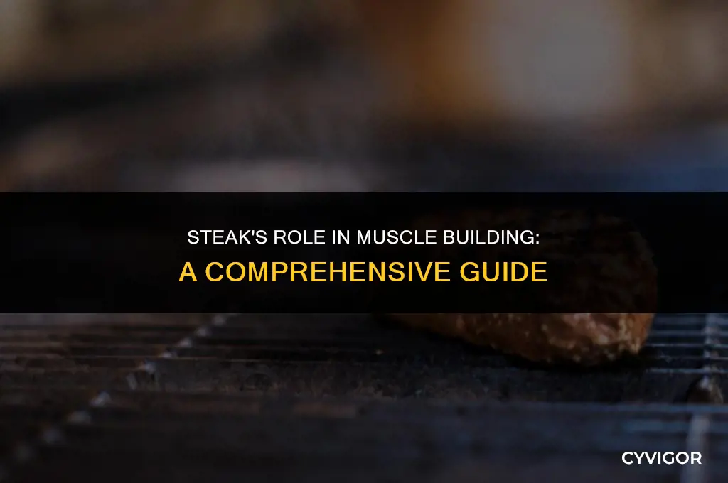 is steak good for muscle building