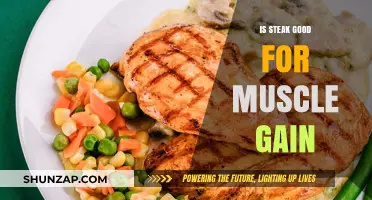 Steak and Muscle Gain: Unlocking Protein Power for Strength