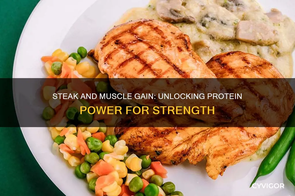 is steak good for muscle gain