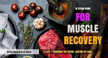 Steak for Muscle Recovery: A Juicy Debate on Protein Power