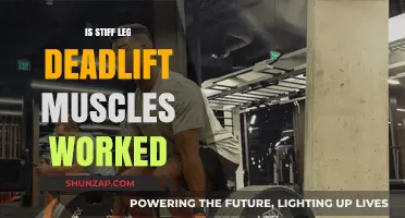 Stiff Leg Deadlift Muscles Worked: Targeted Benefits and Techniques
