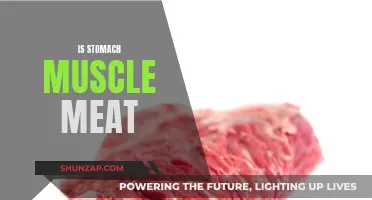 The Ultimate Guide to Stomach Muscle Meat