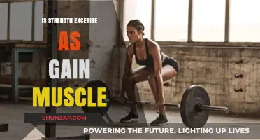 Strength Training: The Key to Building Muscle Mass Effectively