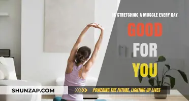 Daily Muscle Stretching: Benefits and Potential Drawbacks Explored