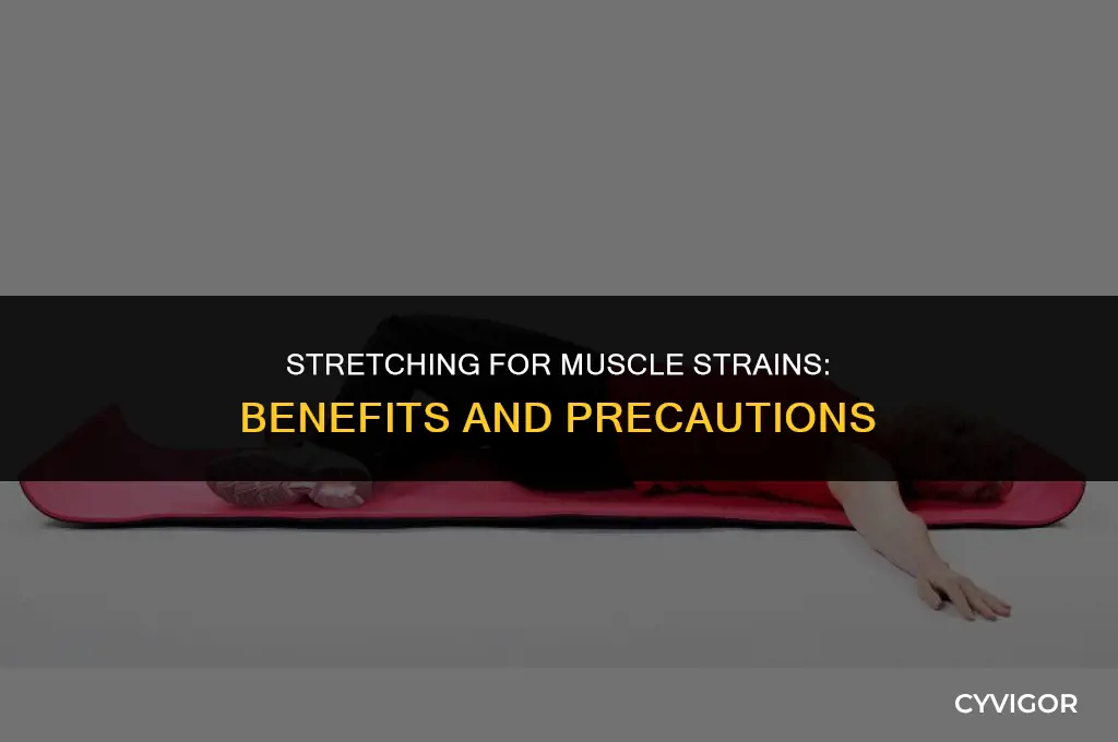 is stretching good for a muscle strain
