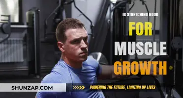 Unleashing Growth: The Power of Stretching for Muscle Development