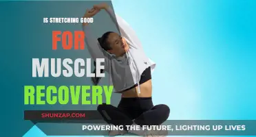 Unraveling the Benefits: How Stretching Aids Muscle Recovery