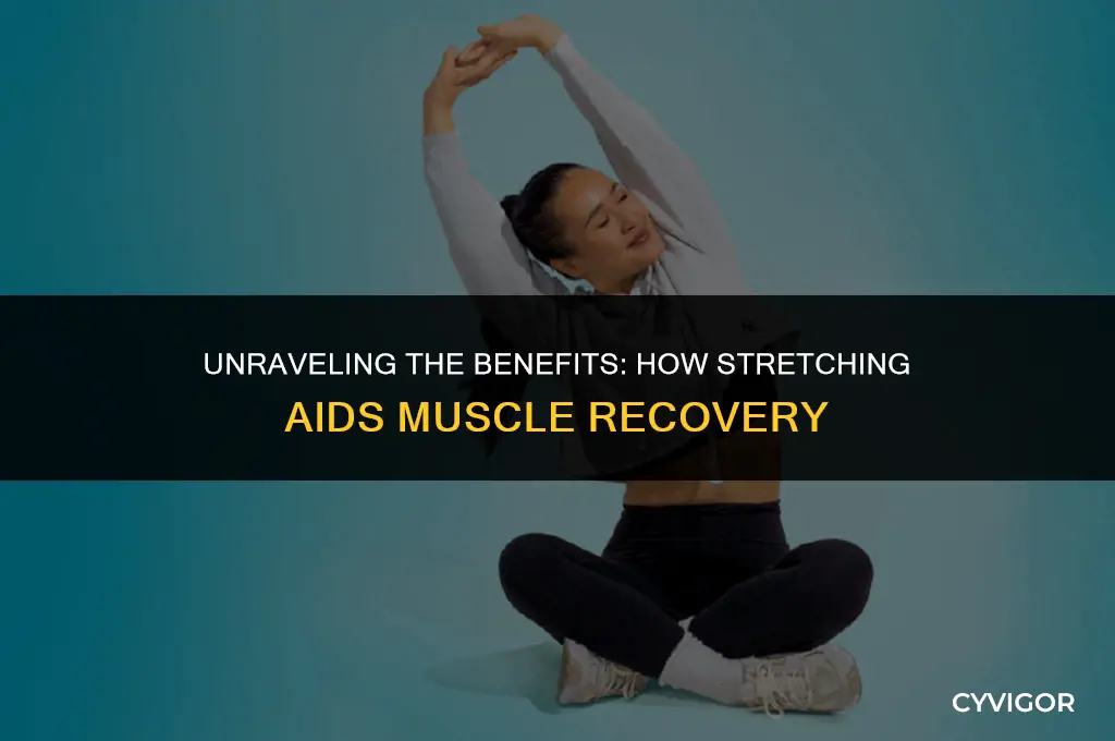 is stretching good for muscle recovery