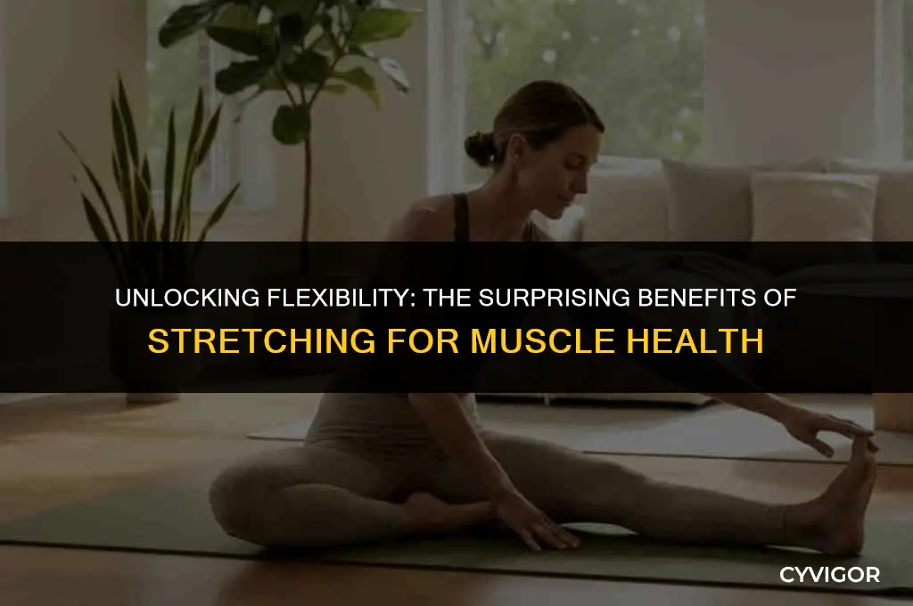 is stretching good for muscles