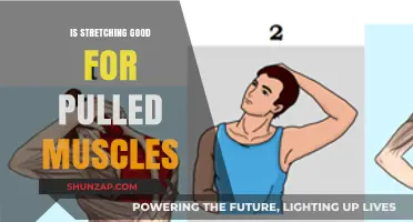 Stretching for Pulled Muscles: Benefits, Risks, and Recovery Tips
