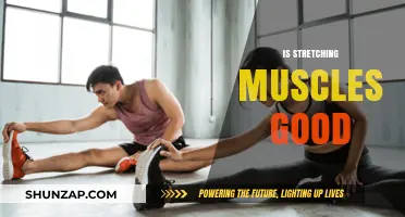 Unlocking Flexibility: The Surprising Benefits of Stretching Muscles