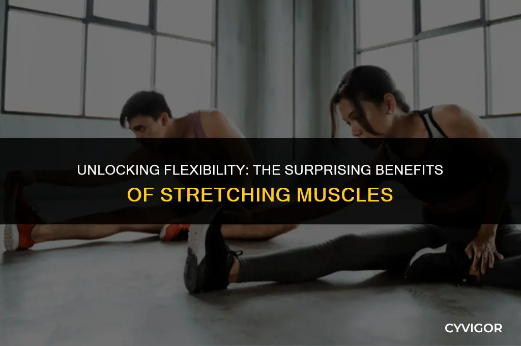 is stretching muscles good